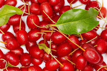 Top view of cherry elaeagnus or gumi berries, close-up