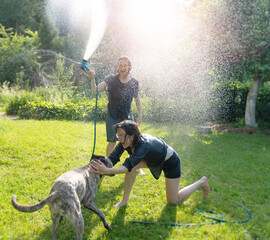 Two beautiful young women girlfriends with a dog pouring water from a sprinkler to themselves in a green garden on a hot summer day - obrazy, fototapety, plakaty