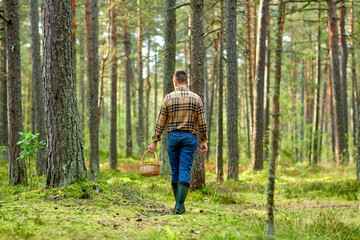 picking season and leisure people concept - middle aged man with wicker basket of mushrooms walking in autumn forest