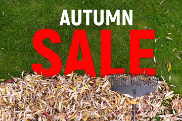 Pile of fall leaves with rake on lawn. Autumn sale