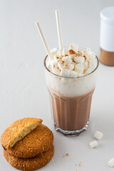 Glass with cocoa, milk froth and marshmallow, sprinkled with cinnamon, oatmeal cookies and straws, a delicious winter drink