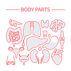 Human body organs outline set. Big collection of body part icons. Human anatomy pictograms of liver, heart, intestine, brain, thyroid, kidney, thyroid, bladder, pancreas. Medical vector illustration.