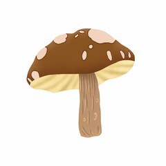 Autumn raster element mushroom brown color isolated on white background. The drawing is suitable for posters, patterns, prints, banners, advertising