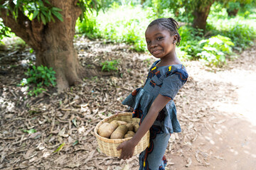 Grinning little black girl on her way home carrying a basket of potatoes bought at the local market