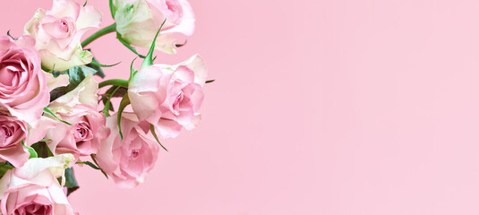 floral long banner. pink roses on a pink background. simple flower frame with place for text