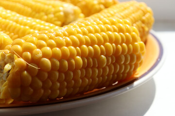 Boiled corn on the cob with salt on plate on table. Cooked sweetcorn, healthy vegan snack. 
