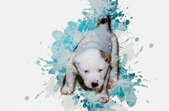 Cute white puppy with a black nose. Three-month-old Turkmen Alabai or Tobet puppy. Digital generated watercolor drawing. Modern art.  Abstract wallpaper. Turquoise tones.