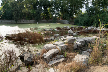 Ruins of the Temple of Artemis in Ephesus, one of the Seven Wonders of the Ancient World. Selcuk - Izmir