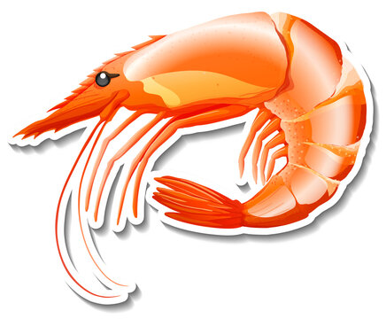 Shrimp seafood cartoon sticker on white background