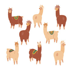 Set of cute alpacas in flat style. Vector  illustration on sand color background.