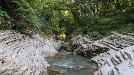 Beautiful forest and mountain river in Psakho canyon, Krasnodar Krai, Russia.