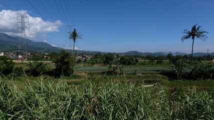 Obraz premium rice field of village