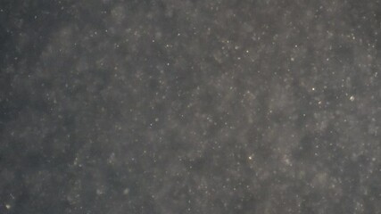 Tiny sperm cells move in seminal fluid.