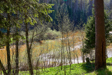 Obraz premium Water of a river or lake during a flood on an early spring day