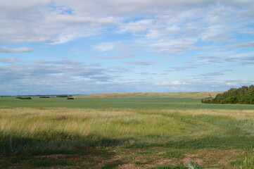 field and sky