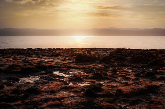 Dead Sea Salty Red Mud Shore In Jordan