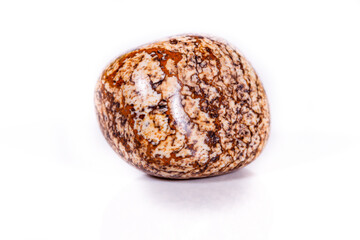 Macro mineral rock jasper landscape sandy on white background