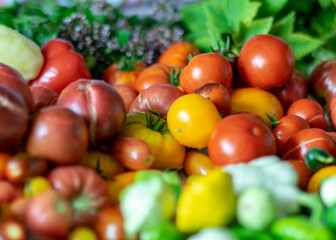 color photo with autumn vegetables on the table, different colors, shapes and types of vegetables prepared for home canning, autumn harvest time