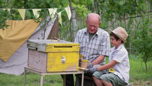 grandfather beekeeper and his grandson are engaged in family business and paint wooden beehives with yellow paint in garden