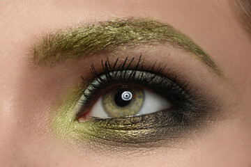 Fototapeta premium Young woman with evening makeup, closeup. Eye shadow product