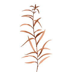 Beautiful watercolor hand painted flowers and plants