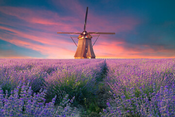 Beautiful landscape of lavender fields at sunset near Sault, Provence-France