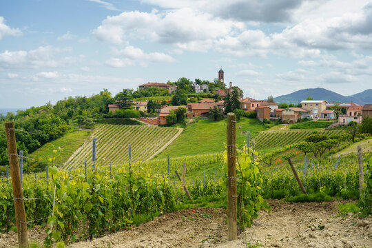 Landscape on the Tortona hills at springtime. View of Monleale