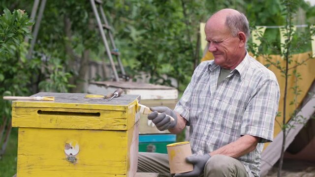 old beekeeper prepares hive for bees and paints it yellow with brush on wooden planks while sitting in garden