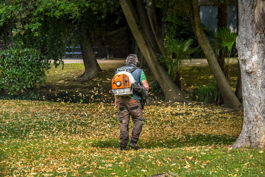 parc jardin soufleuse vent nettoyage feuille automne automnal travail job emploi appareil ouvrier
