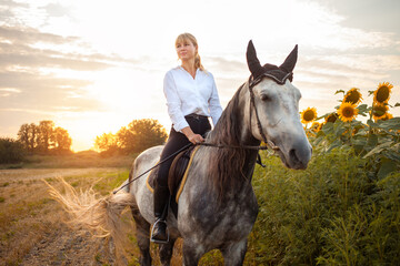 woman riding a gray horse in a field at sunset. walking, horseback riding, rental. Beautiful background, nature outdoor. equestrian sport training. Copy space. magic light