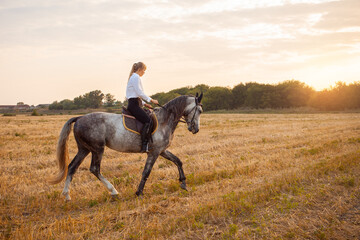 woman rides a field on horseback at sunset. Sports training, equestrian, walking, rental and sale...