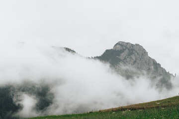 Trees on a hillside in fog and clouds in Entremont, Haute-Savoie, France