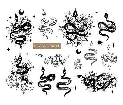 Floral boho snake isolated cliparts bundle, celestial reptile with sun and moon symbol, mystical space magic serpent and flowers silhouette, esoteric objects - black and white vector illustration
