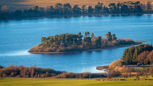 landscape with lake
