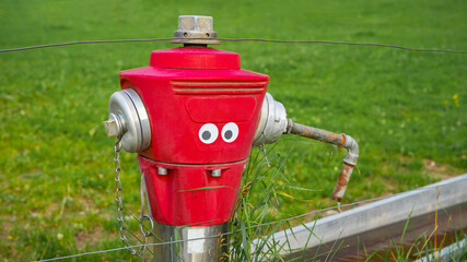 Old red funny hydrant with face and sweet eyes, background green fresh meadow and grasses