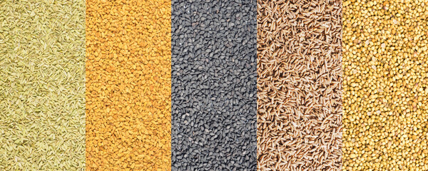 Fototapeta premium Vertical photo spice collage, set of fennel, fenugreek, black cumin, cumin, coriander