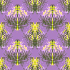 Fototapeta na wymiar Seamless pattern. Botanical motives. Abstract background. Curved lines, feathers, exotic plants, flowers, palms, branches.
