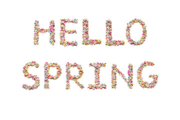 Hello spring text made of flowers. Inscription for greeting card, invitation template.