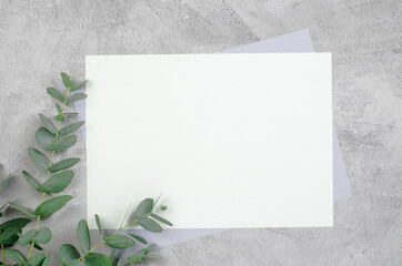 Blank sheet of paper on a concrete background with eucalyptus.