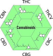Cannabis skeletal cbd formula. Marijuana molecules vector set. Cannabis formula molecular, chemistry structure cannabinoid illustration