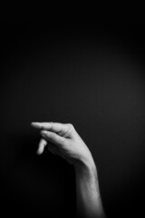 B&W image of hand demonstrating ASL sign language letter P with empty copy space