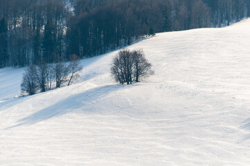 Bieszczady in winter seen from the top of Polonina Wetlinska, the Bieszczady Mountains, the Carpathians