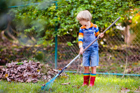 Child and rake in autumn garden. Kid raking leaves