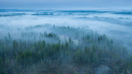 Naklejka premium night fog over the taiga