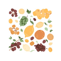 Tropical fruits print. Orange, lemon, grape, gooseberry, apricots, peaches, plums on branch. Summer vector illustration with orchard, fresh and juicy food. 