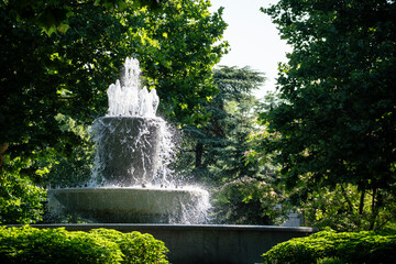 Naklejka premium water fountain in the city, summer beautiful park scene