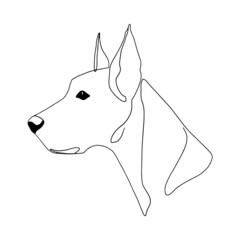 Isolated vector portrait of a great dane dog, line art style