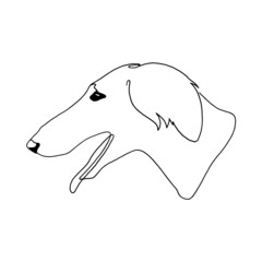 Isolated vector portrait of a greyhound dog, line art style