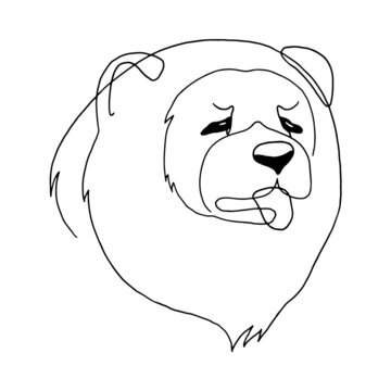 recommend clip art: Isolated vector portrait of a chow chow dog, line art style