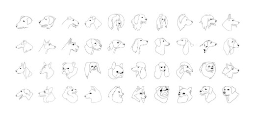 Collection of 40 isolated vector portraits of dogs, different breeds, line art style